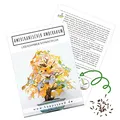 Außergewöhnliche Bonsai Samen mit hoher Keimrate - Pflanzen Samen Set für deinen eigenen Bonsai Baum (1x Amerikanischer Amberbaum)