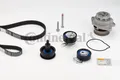 CONTINENTAL CTAM CT957WP3 Wasserpumpe & Zahnriemen Satz für Seat,Skoda,VW