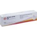 Arnica Comp Gel 100 G