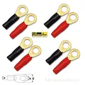 Sinuslive RKS-10 Ringkabelschuhe 10mm² 8 St 24 Karat Kabelschuhe Powerkabel Ring