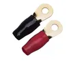 Sinuslive RingKabelschuhe für 10mm² Loch 8mm 8 Stück Ringöse Auto hochwertig