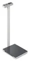 Kern Feinwaage Badezimmerwaage MPL 200K-1P, Wägebereich 250 kg, Ablesbarkeit 100 g, LCD Display