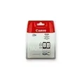 Canon PG-545 / CL-546 Multipack - 2er-Pack - 8 ml - Schwarz, Farbe - original - Tintenpatrone - für PIXMA TR4551, TR4650, TR4651, TS3350, TS3351, TS3352, TS3355, TS3450, TS3451, TS3452 (8287B005)