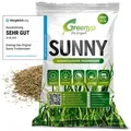 Greenyp® Sunny I Dürreresistenter Trockenrasen I 2,5kg für 100m2 I Grassamen Rasensamen Rasensaat Gras Nachsaat schnellkeimend
