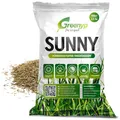 Greenyp® Sunny I dürreresistenter Trockenrasen I 2,5kg für 100m² I Grassamen Rasensamen Rasensaat Gras Nachsaat schnellkeimend