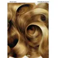 Simone Haack - Untangling the Strands / Démêler les fils von Dominik Bonatz/ Annabelle Gugnon / Dr. Cantz'sche Verlagsges / Taschenbuch