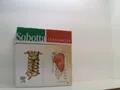 Sobotta Lernkartenpaket: Knochen, Bänder und Gelenke; Muskeln; Organe, Leitungsb