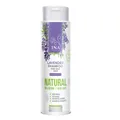 3800502058434 INA ESSENTIALS Lavender Shampoo naturalny szampon lawendowy do wło