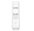 Goldwell Dualsenses Silver Shampoo 250 ml
