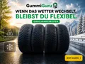 4x 205/55 R16 94V XL Ganzjahresreifen Goodride Z-401 All Season Elite 3PMSF