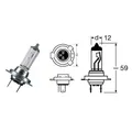 Lampe H7 12V-55W PX26D Osram Kawasaki Z800 800 2013 2016