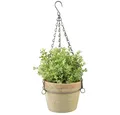 Esschert Design Terracotta-Topf mit  Kettenaufhänger Blumenampel Shabby AT 28