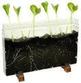 Wurzelhaus / Wurmfarm 30 x 19 x 4 cm  # 3150.2035
