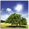 Wandbild "Baum des Lebens", Bäume, (1 St.), als Leinwandbild, Poster in verschied. Größen Farbe Bild(er): grün B/H/T: 100 cm x 100 cm x 1,8 cm
