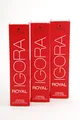 Schwarzkopf Igora Royal NEU 6-1 3er Pack (3x60ml)