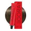 Schwarzkopf Igora Royal 6-1 Cendré Dunkelblond 60ml - Permanente Färbung