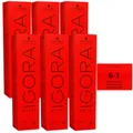Schwarzkopf Igora Royal 6 x 60 ml 6-1 dunkelblond cendre Haarfarbe Cremefarbe Se