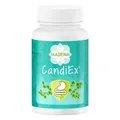 MADENA CandiEx 60 Kapseln Darmflora Komplex Candida albicans Vegan Laktosefrei