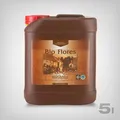 CANNA Bio Flores Blütedünger 5L - Kräftige Blüten, 100% organisch für Blütephase