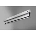 celexon Leinwand Rollo Professional Plus 200 x 125 cm - 93