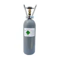 ich-zapfe.de CO2 Flasche 2kg, CO2 Zylinder für Aquarien, Aquariumpflege