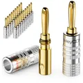 deleyCON 20x Bananenstecker vergoldet schraubbar Lautsprecherkabel 4mm Receiver