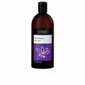 Ziaja Lavanda Champú Para Cabello Graso 500ml