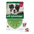 Advantage 250 für Hunde von 10-25 kg Lösung 4 St