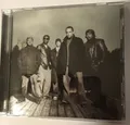 Dave Matthews Band Everyday (CD)