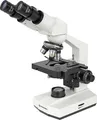 Bresser Optik 5102200 Erudit Basic Bino Durchlichtmikroskop Binokular 400 x Durchlicht