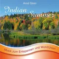 Arnd Stein Indian Summer (CD) (US IMPORT)