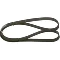 Bosch 1 987 948 481 Keilrippenriemen für VOLVO FIAT OPEL FORD HONDA Keilriemen