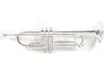 Roy Benson Bb-Trompete TR-202S (Langlebige Messingkonstruktion, mit leichtem Rechtecketui, Rucksackgarnitur, erstklassige Edelstahl Ventile, für professionelle Musiker), versilbert