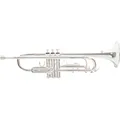 Roy Benson TR-202S Bb-Trompete versilbert | Neu