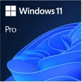 Microsoft MS SB Windows 11 Pro 64bit UK | DVD