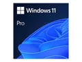 Microsoft Windows 11 Pro - Lizenz - 1 Lizenz - OEM - DVD (FQC-10528)