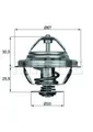 MAHLE Thermostat für BMW 3er (E30,E36),5er (E12,E28,E34),6er (E24)
