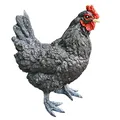 Aspinaworld Gartenfigur Hahn 34 cm schwarz stehend mit rotem Kamm – kräftige Hahnenfigur handbemalt mit dunklem Gefieder, Bauernhof Tierfigur Skulptur für Außenbereich