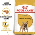 Royal Canin French Bulldog Adult - Hundefutter 9 kg