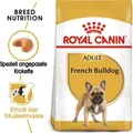 Royal Canin French Bulldog Adult, Adult, Schweinefleisch, 9 kg