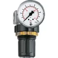 Riegler Druckregler »Standard-mini«, Schalttafelmutter, G 1/4, 0,5-16 bar