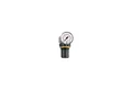 RIEGLER Druckregler Riegler Druckregler »Standard-mini«, Schalttafelmutter, G 1/4, 0,5-16