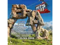 Various - BRAVO Hits Vol. 133 - (CD)