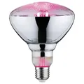 Paulmann 28737 Pflanzenlampe Plant PAR38 E27 6,5W für besseres Pflanzenwachstum