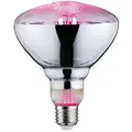 Paulmann - Led-pflanzenlampe Wachstum 230 V E27 6.5 W Bernstein 1 St.