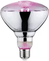Paulmann LED-Pflanzenlampe Wachstum 230V E27 6.5W Bernstein 1St.