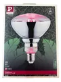 Paulmann 28737 6,5 Watt LED-Pflanzenlampe, Glasfassung, 1300 K, E27, 6,5 W, 1 St