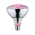 Paulmann LED Grow Green Reflektor, 6,5W, 200 lm, E27, 115°, 1300K Wachstumslicht