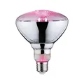 Paulmann 28737 LED Lampe Pflanzenlicht 6,5W Leuchtmittel Wachstumslicht Beleucht