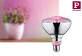 Paulmann Grow Green Edition LED Reflektor Filament E27 230V  PAR38 6,5W 1300K